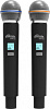 Радиосистема Ritmix RWM-222 черный