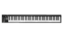 MIDI клавиатура [110105A2027] Icon [iKeyboard 8S] встроенный аудиоинтерфейс 24 бит/192 кГц, 88 полувзвешенных клавиш фортепианного типа, XLR микр. вхо
