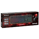 Defender Клавиатура Raid GK-778DL RU [45778] {Проводная игровая, Rainbow,104 кнопки}