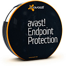 avast! Endpoint Protection, 1 year (5-9 users)