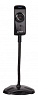 Камера Web A4Tech PK-810G черный 0.3Mpix (640x480) USB2.0 с микрофоном