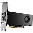 Видеокарта NVIDIA RTX 2000 ADA Graphics Cards, 16GB GDDR6 (ATX inst, LP incl), bulk