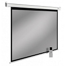 Экран Cactus 188x300см SIlverMotoExpert CS-PSSME-300X188-DG 16:10 настенно-потолочный рулонный тёмно-серый (моторизованный привод)