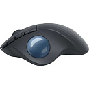Трекбол Logitech Ergo M575, оптическая, беспроводная, USB, графитовый [910-005873]