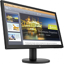 Монитор HP 20.7" P21B G4 черный TN LED 5ms 16:9 HDMI M/M 250cd 90гр/65гр 1920x1080 60Hz VGA FHD 2.6кг