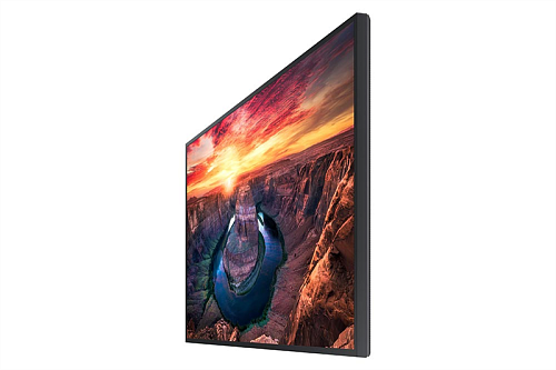 Профессиональный дисплей 43" Samsung QM43B