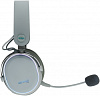 Наушники с микрофоном GMNG HS-L990G белый 1.5м мониторные Radio оголовье (1605117)