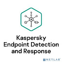 KL4708RAXFW Kaspersky EDR для бизнеса - Оптимальный Russian Edition. 2500-4999 Node 1 year Cross-grade License