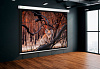 Экран Cactus 168x299см Wallscreen CS-PSW-168x299 16:9 настенно-потолочный рулонный белый