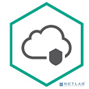 KL4743RAPFR Kaspersky Endpoint Security Cloud Plus 25-49 users Renewal License