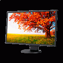 NEC 21,5" EA224WMi-BK LCD Bk/Bk (IPS; 16:9; 250cd/m2; 1000:1; 6ms; 1920x1080; 178/178; D-Sub; DVI-D; HDMI; DP; USB; HAS 130mm; Tilt; Swiv 170/170; Pi