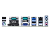 IMB-1313