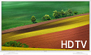 Телевизор LED Samsung 32" UE32N4010AUXRU Series 4 белый HD 60Hz DVB-T DVB-T2 DVB-C DVB-S DVB-S2 (RUS)