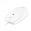 Клавиатура + мышь Оклик S650 клав:белый мышь:белый USB Multimedia (1875257)
