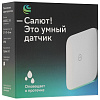 Умный датчик протечки Sber SBDV-00154