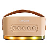 Exegate EX294943RUS Караоке-система Bro 330 (8Вт, 80-15000Гц, Bluetooth, Li-Ion, 1200mAh, с поддержкой USB и TF/microSD карт, 3,5mm audio