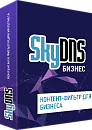 SkyDNS Бизнес. 20 лицензий на 1 год