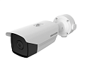 Камера IP тепловизионная Hikvision DS-2TD2117-3/V1 3.1мм 37.2-50град.