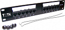 Патч-панель Lanmaster TWT-PP12UTP-10 1U 12x кат.5e UTP