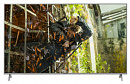 Телевизор LED Panasonic 49" TX-49GXR900 серебристый/Ultra HD/60Hz/DVB-T/DVB-T2/DVB-C/DVB-S/DVB-S2/USB/WiFi/Smart TV