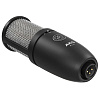 Микрофон AKG P420