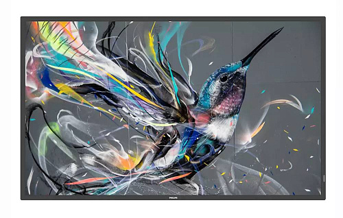 Профессиональный дисплей Philips [50BDL3511Q/00] 50" Q-Line; 18/7, 4K UHD, basic failover, USB auto play, CMND &Control, Smart Player, LAN