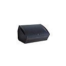 TS-615T профессиональный двухполосный напольный монитор,15" , 500W @8Ω, цвет чёрный