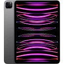 Apple iPad Pro 2022 11" Wi Fi 256GB Space Gray A2759 MNXF3ZP/A