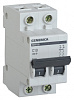 Выключатель автоматический IEK MVA25-2-010-C Generica 10A тип C 4.5kA 2П 400В 2мод серый (упак.:1шт)