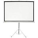 Экран Cactus Triscreen CS-PST-127X127 127 x 127см 1:1 напольный рулонный белый (черная рамка)
