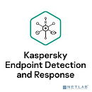 KL4708RATFS Kaspersky EDR для бизнеса - Оптимальный 250-499 users Base License