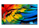 Коммерческий ТВ 75" Philips Business TV, 4K UHD, Chromecast built-in, Google Play Store, DVB-C/T/T2 Tuner, HDMI, Scheduler, Auto on/off, Crestron Con