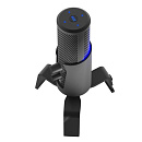 RITMIX RDM-290 USB Eloquence Black {Частота: 20 Гц-20 000 Гц}