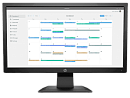 HP P204v 19,5 Monitor 1600x900, 16:9, TN, 200 cd/m2, 600:1, 5ms, 90°/50°, VGA, HDMI, tilt, 60 Hz, Black