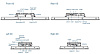 CV-W121G/P1101-E50