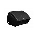 TS-815F профессиональный напольный монитор высокого класса,15", 500W @8Ω, чёрный