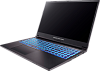 Ноутбук Dream Machines G1650Ti-15RU66 15.6"(1920x1080 IPS 60Hz)/Intel Core i7 10750H(2.6Ghz)/16384Mb/512SSDGb/noDVD/Ext:nVidia GeForce