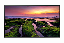 професиональный дисплей Samsung 75" QB75B