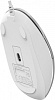 Мышь A4Tech Fstyler FM26S серебристый/белый оптическая (1600dpi) silent USB для ноутбука (4but)