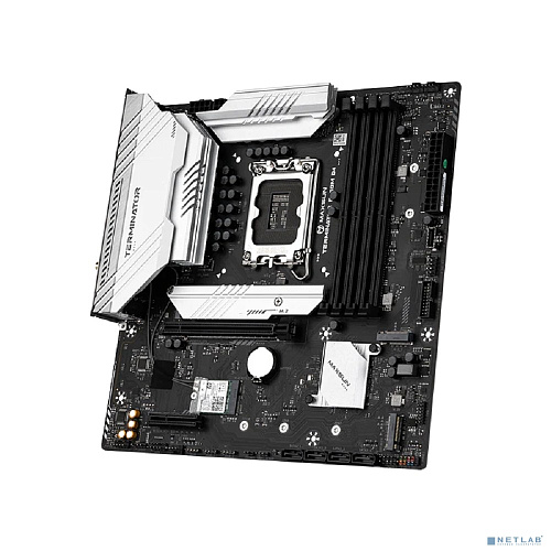 MS-Terminator B760M D4 WIFI V2
