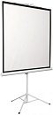 Экран Digis 96" 172x172см Kontur-D DSKD-1104 1:1 напольный рулонный