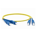 Rexant (50-2011) Патч-корд оптический соединительный (SM), 9/125 (OS2), SC/UPC-SC/UPC, (Duplex), LSZH, 1м