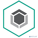 KL4863RASFE Kaspersky Endpoint Security для бизнеса – Стандартный 150-249 users Educational License