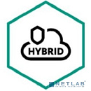 KL4155RASDR Kaspersky Security для виртуальных и облачных сред, Desktop Russian Edition. 150-249 VirtualWorkstation 2 year Renewal License