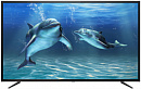 Телевизор LED Erisson 50" 50FLM8010T2 черный FULL HD 50Hz DVB-T DVB-T2 DVB-C USB (RUS)