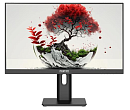 Монитор RDW2401K 1920x1080(FHD) IPS 120Hz 4мс 178°/178 350cd 1000:1 VGA HDMI DP 1*USB-B, 4*USB-A Рег. по высоте, Портретный режим, Поворот вокруг свое