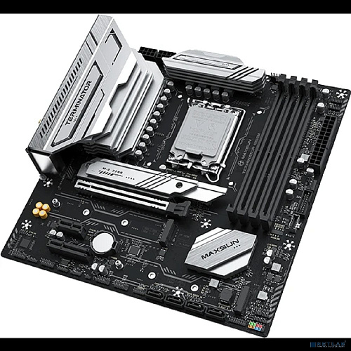 MAXSUN MS-Terminator B860M WIFI DEMO