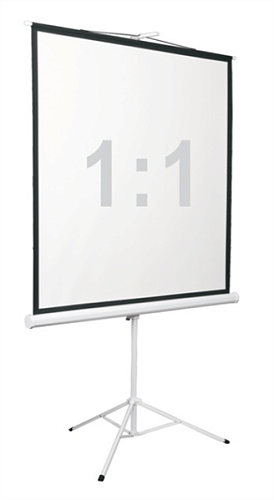 Экран на штативе Digis DSKD-1105, формат 1:1, 100" (186x189), MW, Kontur-D