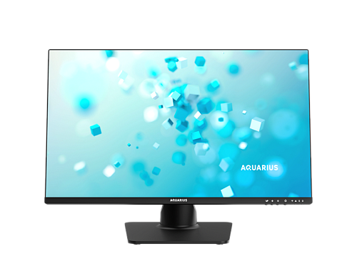Aquarius Mnb Pro T924 (АМПР.466539.438)23,8"/i3_12100/DDR4_8G/SSD256_M2_NVMe/WiFi/BT/KM (демонстрационный образец)