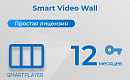 Простая (неисключительная) лицензия на Программу для ЭВМ Платформа SmartPlayer, тариф Smart Video Wall, подписка на 1 год [SmartVW-1Y-Saas] SmartPlaye